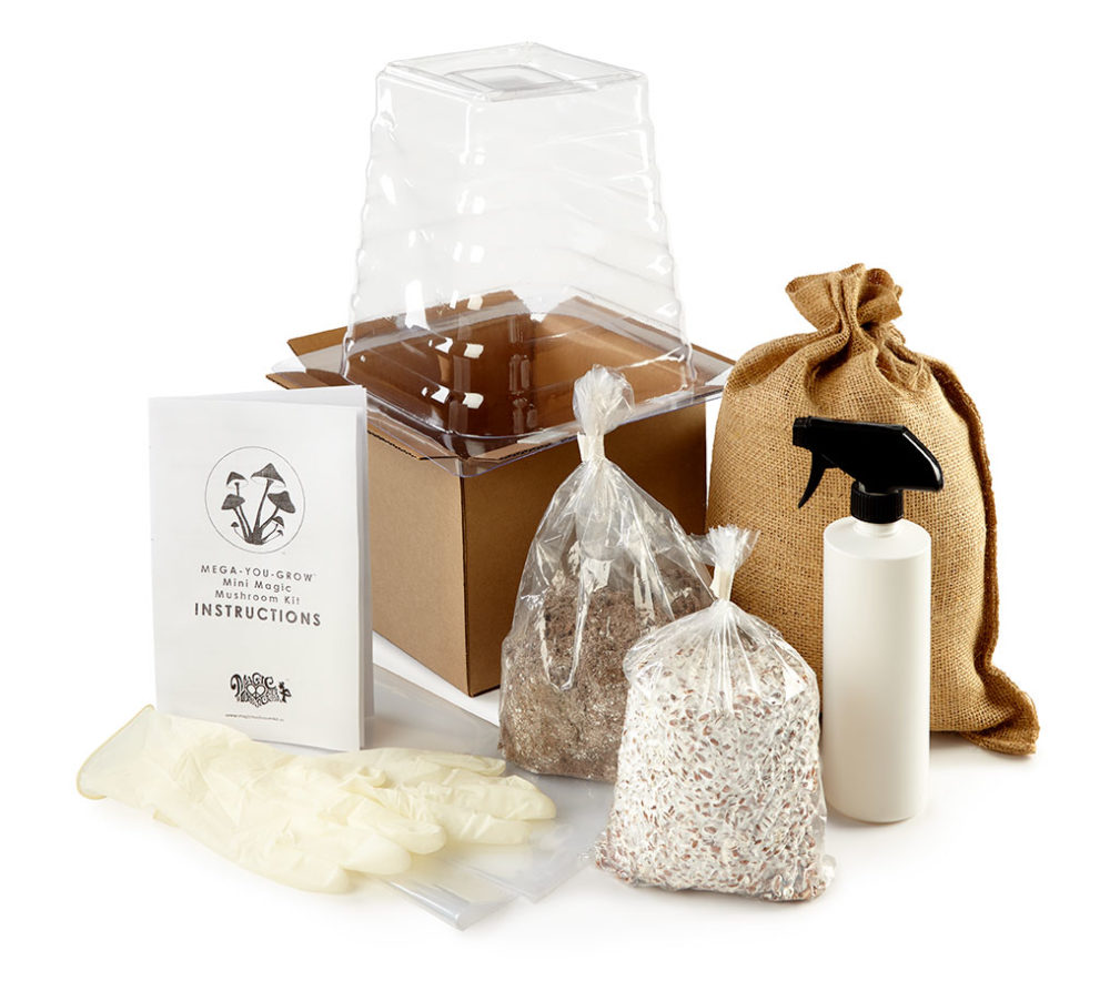 Mini Magic Mushroom Growing Kit – With Live Spawn