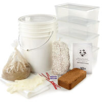 Easy Coco Magic Mushroom Kit